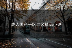 成人国产一区二区精品小说