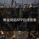 黄金网站APP在线观看