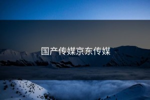 国产传媒京东传媒