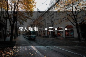 成人啪啪一区二区三区