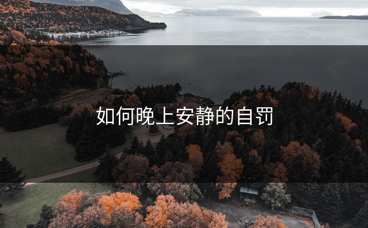 如何晚上安静的自罚