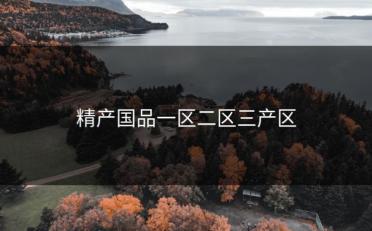 精产国品一区二区三产区