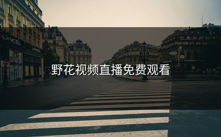 野花视频直播免费观看