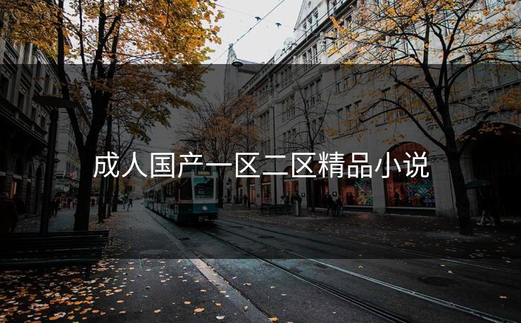 成人国产一区二区精品小说